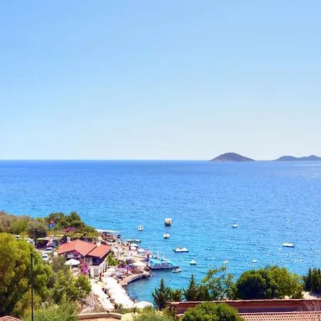 Alla Kalkan